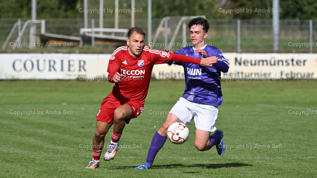 VfR Neumünster vs SpVg Eidertal Molfsee | Visar Mehmeti (VfR #7) / Luca Aouci (Molfsee #19) - Fußball-Oberliga Männer 2024/2025 / VfR Neumünster vs SpVg Eidertal Molfsee / VfR-Stadion / Neumünster / 29.09.24 - Realisiert mit Pictrs.com