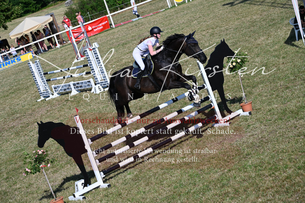 DSC_2499 | Pferde- und Turnierfotografie in Westsachsen. Pferdeportraits, Auftragszeichnungen und intuitive Kunst.