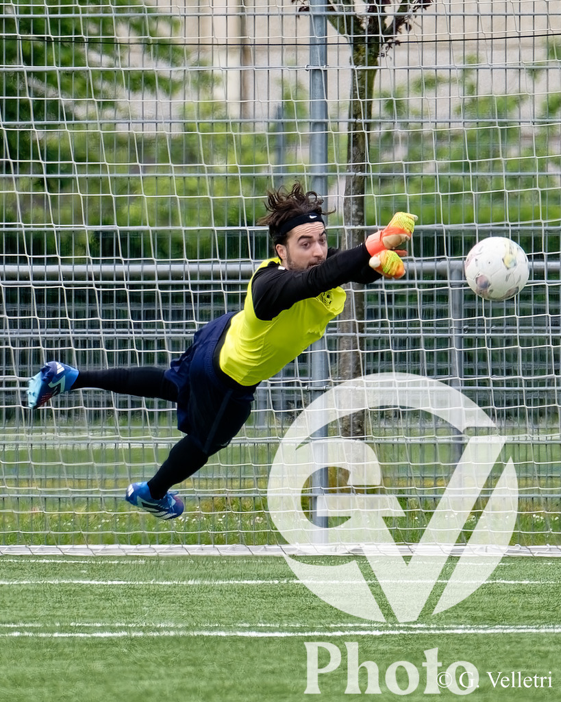 DSC_3006 | Velletri Photo