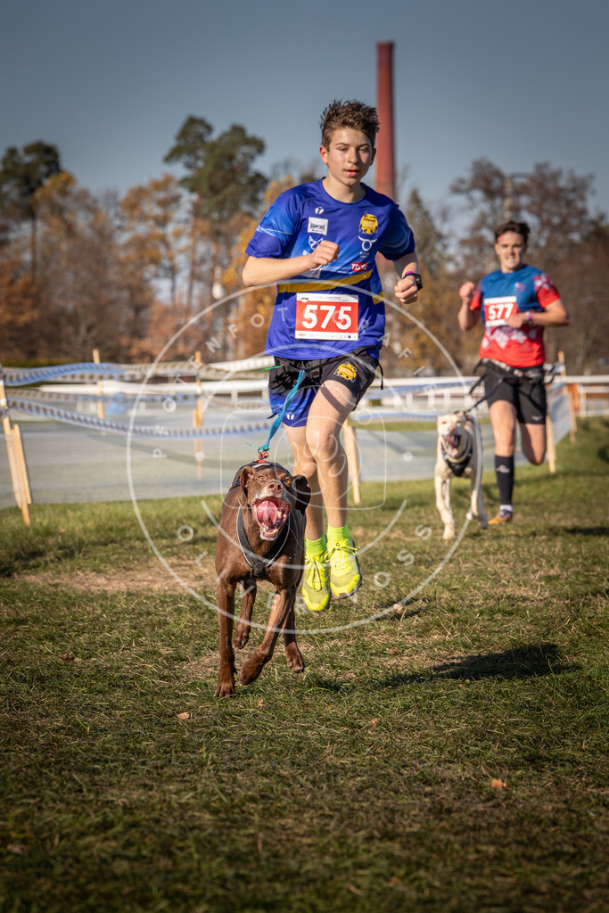 CaniXpix_0L8A8102 | Hundefotografie, Tierfotograf, Pfotenfotografie, Fotoshooting Hund, Hunde Portrait, Hundesport, Hundeportraits, Heideshooting, Hunde, Sportfotograf, Hundefotograf, Turnierhundsport, THS,  - Realisiert mit Pictrs.com