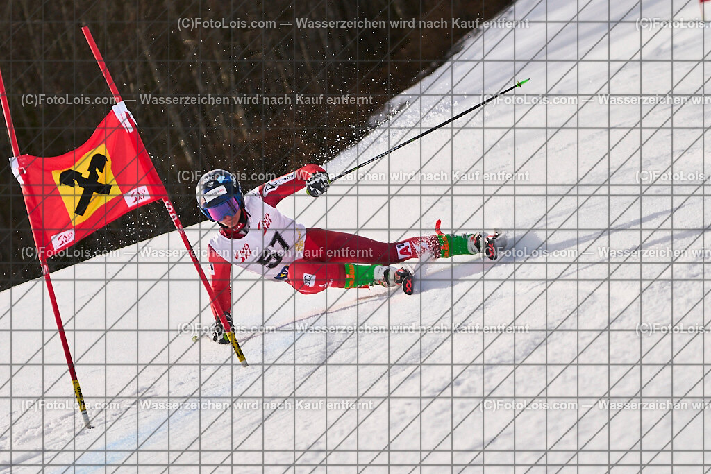 ALP8832_Herrn-FIS-GS-II_Lackenhof-WY_STEINKELLNER Jonas | Internationaler FIS GiantSlalom der Herrn auf der Distelpiste in Lackenhof am Di 11. März 2025.  Österreich, LSV-NÖ, Sportunion Waidhofen/Ybbs (2035).