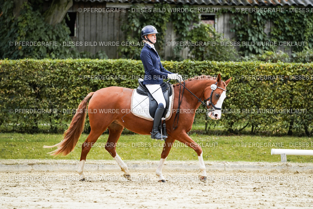 DSC07471 | Pferdegrafie