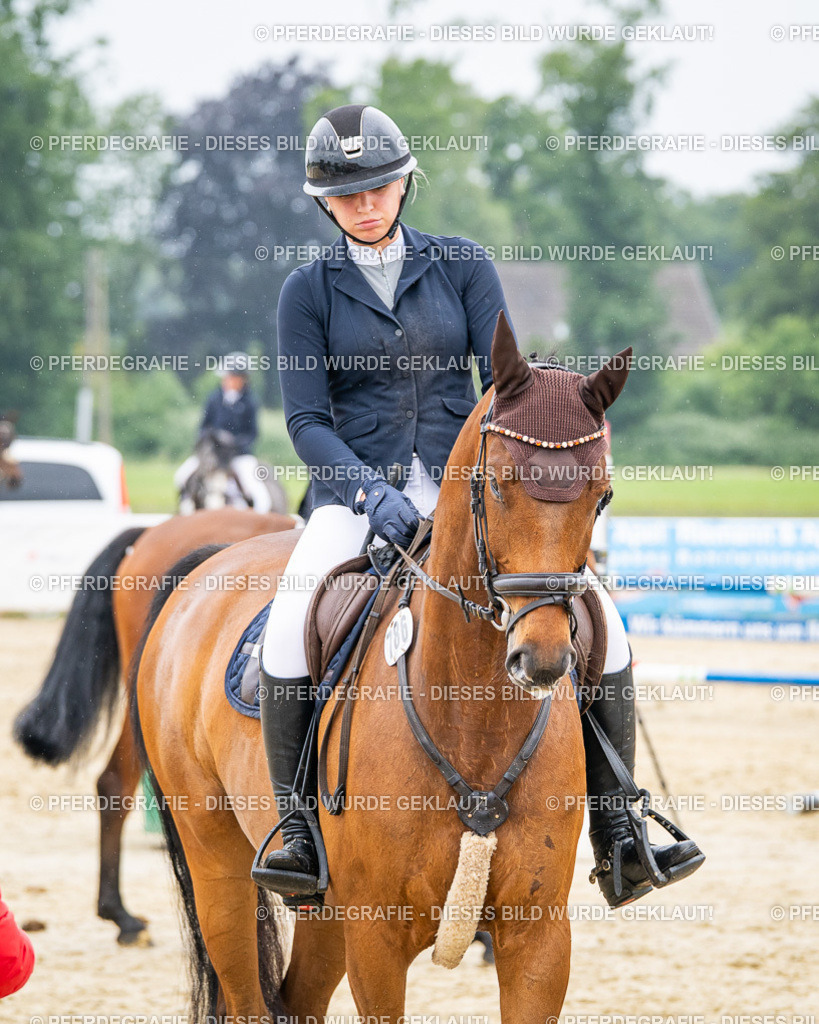 DSC01016 | Pferdegrafie