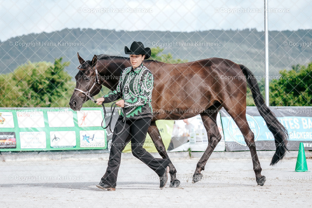 DSC02260 | ikphotography - Realisiert mit Pictrs.com