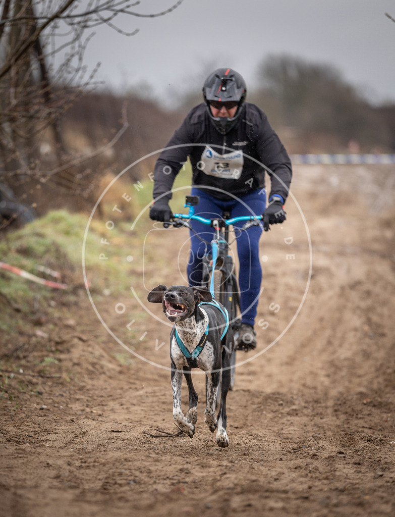 DV3A8947 | Hundefotografie, Tierfotograf, Pfotenfotografie, Fotoshooting Hund, Hunde Portrait, Hundesport, Hundeportraits, Heideshooting, Hunde, Sportfotograf, Hundefotograf, Turnierhundsport, THS,  - Realisiert mit Pictrs.com