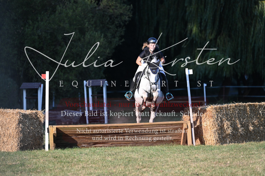 DSC_9196 | Pferde- und Turnierfotografie in Westsachsen. Pferdeportraits, Auftragszeichnungen und intuitive Kunst.