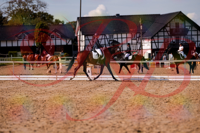 2026_10_03_Siefer-Hof_125814_Z81_47906931 | Professionelle Reitsport-, Turnier- und Eventfotografie von Robert Broda. Galerien mit ausgewählten und bearbeiteten Bildern direkt online ansehen und bestellen.