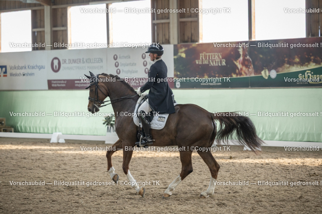 _D5A6645 | Emotionale Pferde- & People-Fotografie rund um Heidelberg, Leimen & Umgebung. Natürliche Fotos von Pferd, Mensch & Familie. Jetzt Termin sichern!