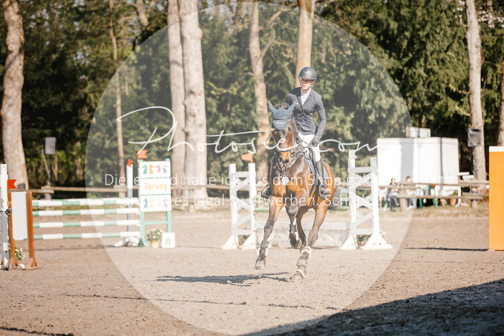 3I6A3669 | Stimmungsvolle Portraits und Reitsportfotografie im Ruhrgebiet und im Münsterland.

Pferdefotografie, Hundefotografie, Tierfotografie, Reportagen, Portraits von Tier und Mensch, Turnierfotografie in Bochum, Recklinghausen, Marl, Haltern am See, Dülmen.. - Realisiert mit Pictrs.com