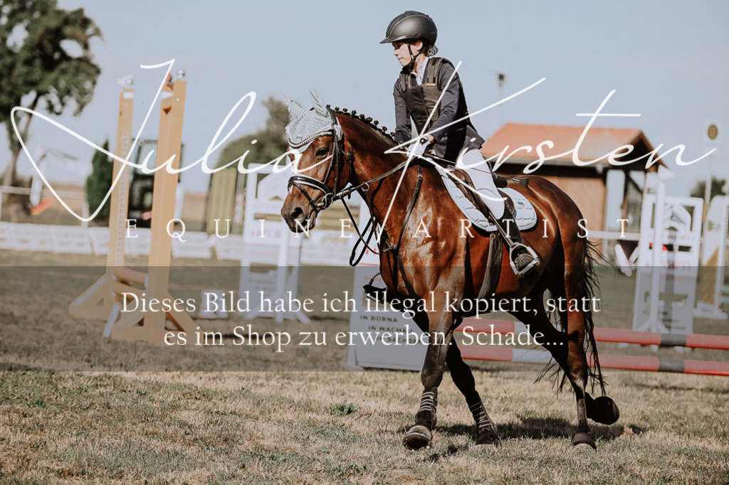 DSC_9410 | Pferde- und Turnierfotografie in Westsachsen. Pferdeportraits, Auftragszeichnungen und intuitive Kunst.