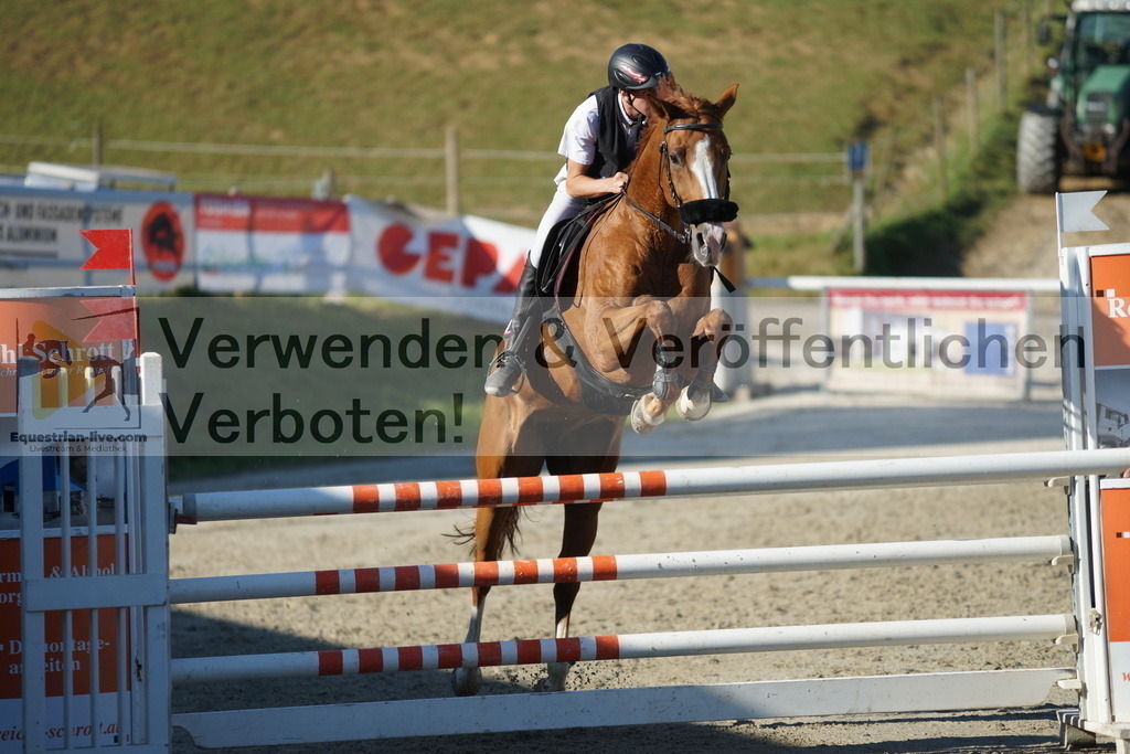 DSC01415 | equestrian-live-com