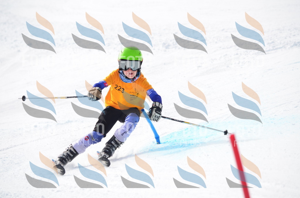 C8258 | holidayphoto