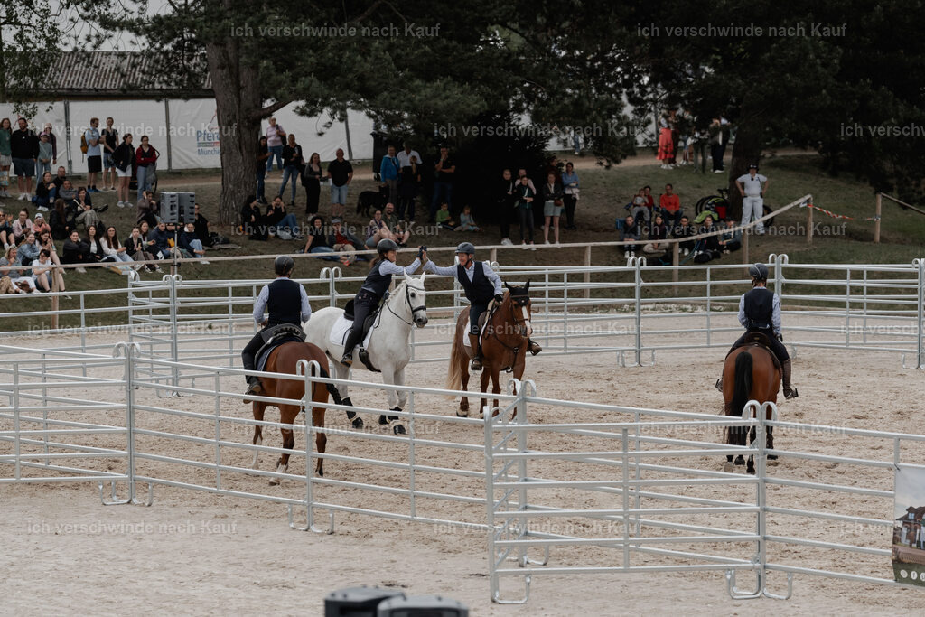 WE__Stoib_Rinder_PI2025_3158 | Pferd International München 2025