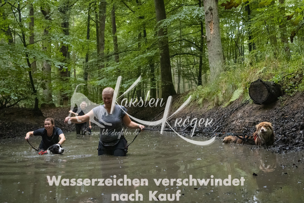 1044_ZZ93323-Bearbeitet | kk-dogfotos