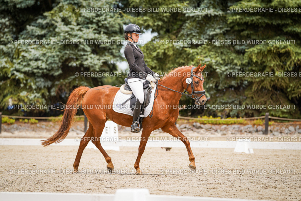 DSC04202 | Pferdegrafie