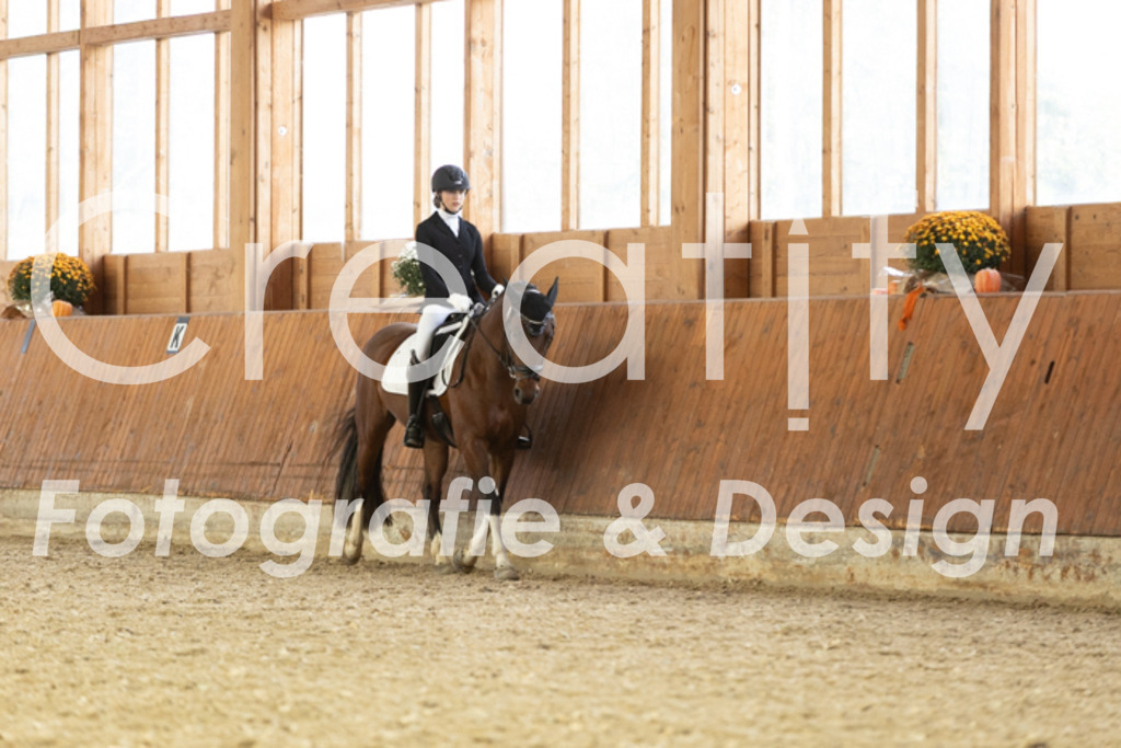 IMG_6063 | Creatify Fotografie