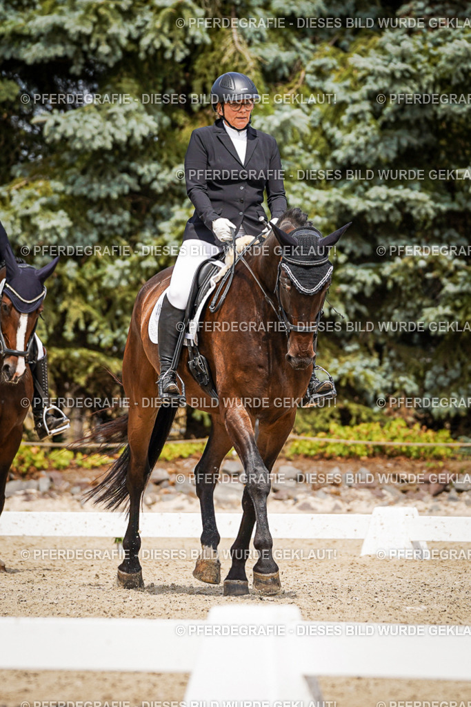 DSC03770 | Pferdegrafie