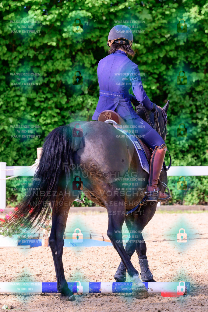 02052026-Giesenbach-03-Speedtrail-0040 | Fokus Hufschlag Fotografie - Realisiert mit Pictrs.com