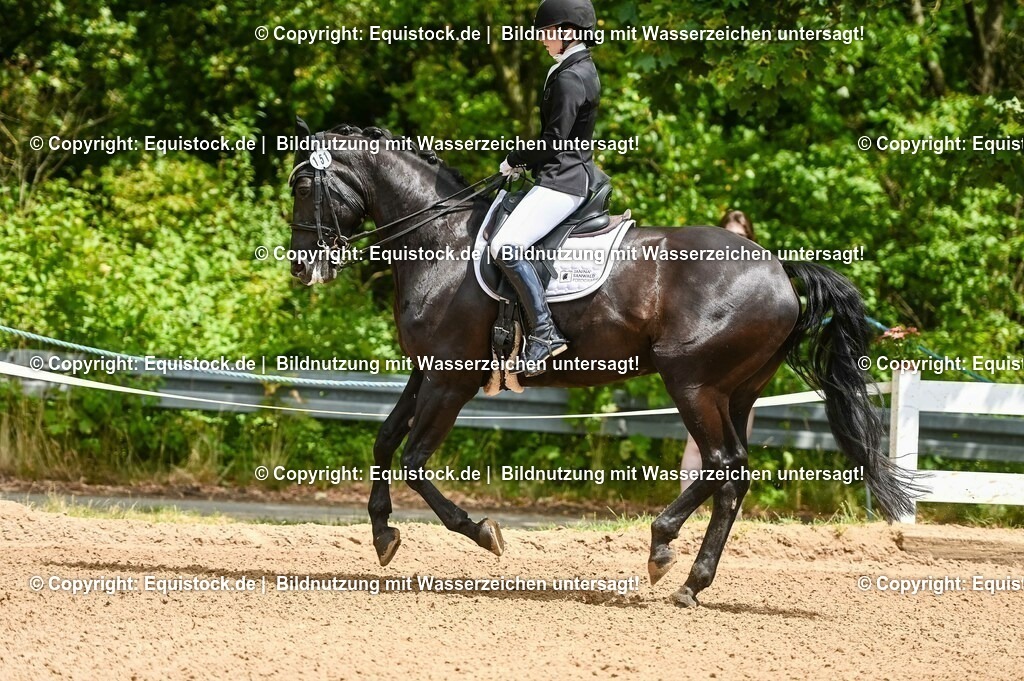 20230716_01_Dressurprüfung Kl.M_0038 | equistock