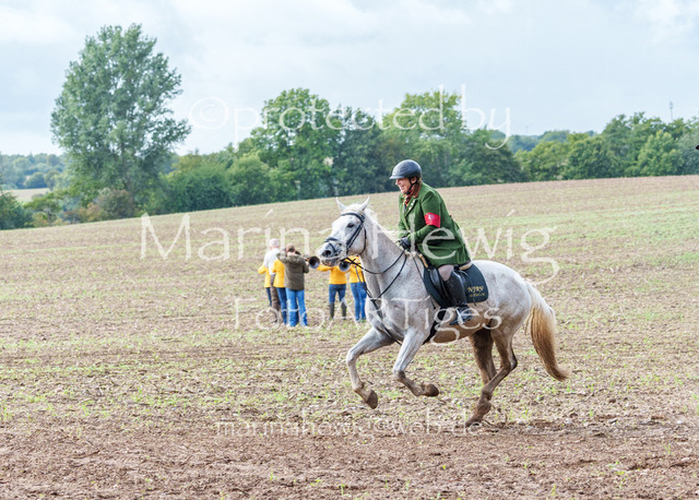 Jagd Perdoel 26 Sony-04125_MarinaHewig | Fotografie, FotoArt, PferdesportArt, Pferdesportfotografie, Landschaftsfotografie, Reisefotografie, Reise, Pferde - Realisiert mit Pictrs.com