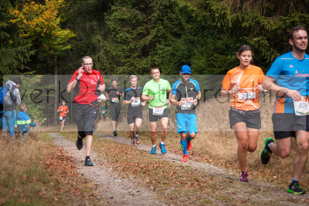 Herbstlauf 2018 | Neuhaus/Rwg. - Masserberg am 7. Oktober 2018