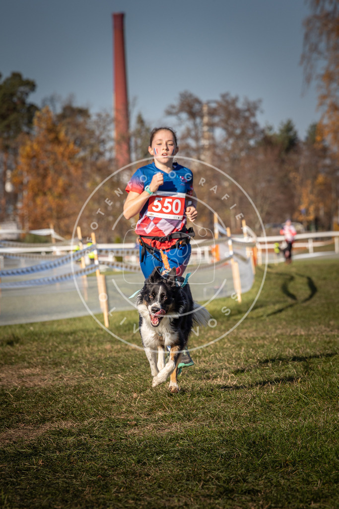 CaniXpix_0L8A7634 | Hundefotografie, Tierfotograf, Pfotenfotografie, Fotoshooting Hund, Hunde Portrait, Hundesport, Hundeportraits, Heideshooting, Hunde, Sportfotograf, Hundefotograf, Turnierhundsport, THS,  - Realisiert mit Pictrs.com