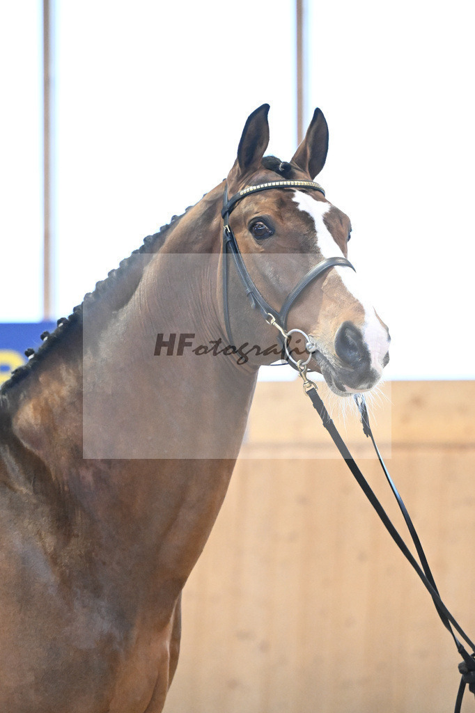 Sanvaro_7240712 | hf-fotografie - Realisiert mit Pictrs.com