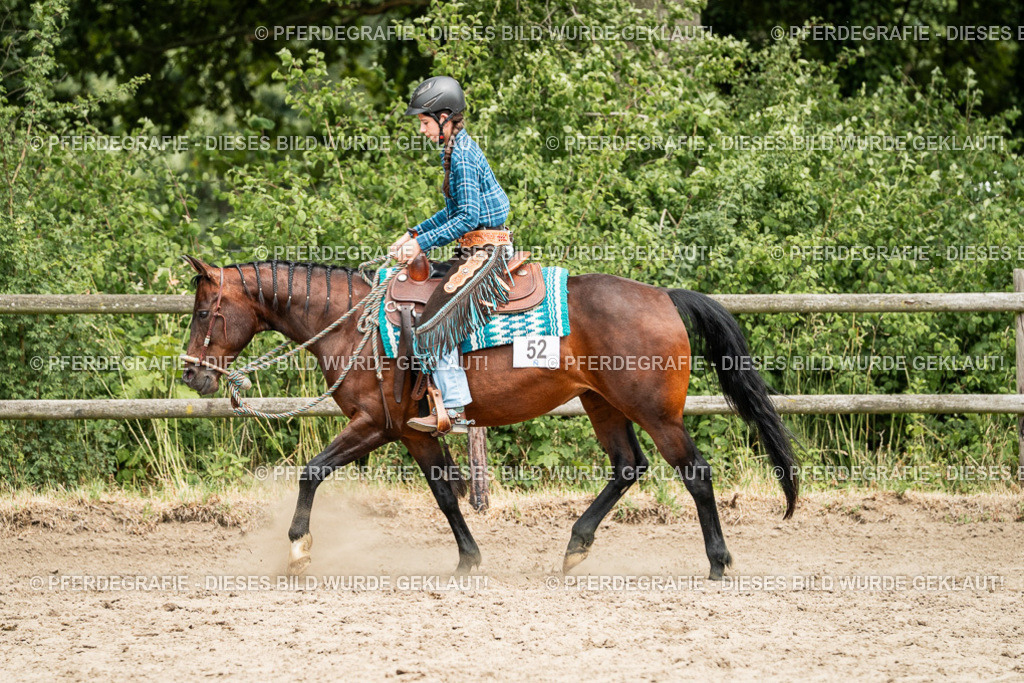 DSC01490 | Pferdegrafie