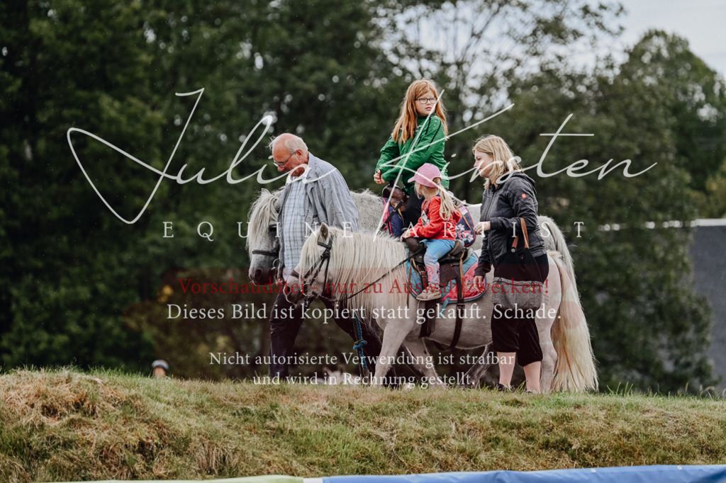 DSC_7040 | Pferde- und Turnierfotografie in Westsachsen. Pferdeportraits, Auftragszeichnungen und intuitive Kunst.