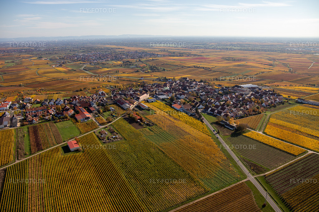 Luftbild: Herbstliche verfärbte Vegetationsansicht der Weinbergen um das Winzerdorf in Herxheim am Berg im Bundesland Rheinland-Pfalz in Deutschland. Foto: IMG_123678.jpg vom 31.10.2020 durch Werner Riehm/FLY-FOTO.de