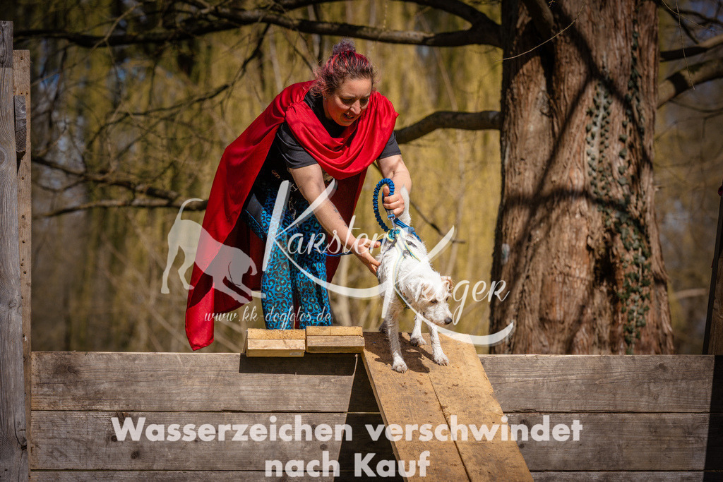 1039_ZZ98569 | kk-dogfotos