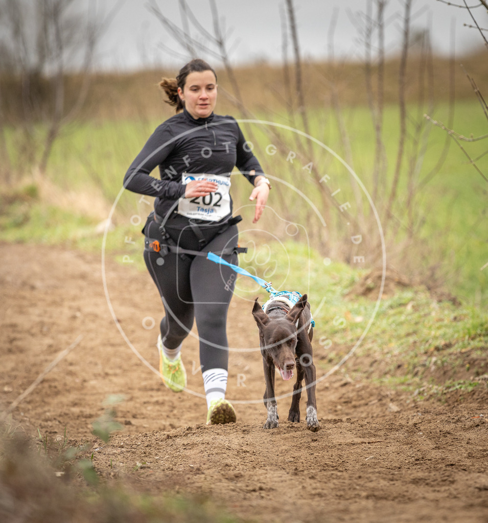 DV3A2509 | Hundefotografie, Tierfotograf, Pfotenfotografie, Fotoshooting Hund, Hunde Portrait, Hundesport, Hundeportraits, Heideshooting, Hunde, Sportfotograf, Hundefotograf, Turnierhundsport, THS,  - Realisiert mit Pictrs.com