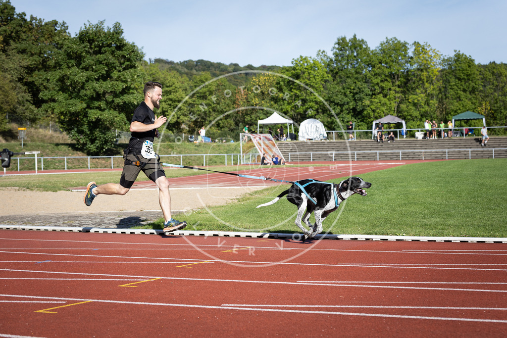 Pfotenfotografie_DV3A0076 | Hundefotografie, Tierfotograf, Pfotenfotografie, Fotoshooting Hund, Hunde Portrait, Hundesport, Hundeportraits, Heideshooting, Hunde, Sportfotograf, Hundefotograf, Turnierhundsport, THS,  - Realisiert mit Pictrs.com