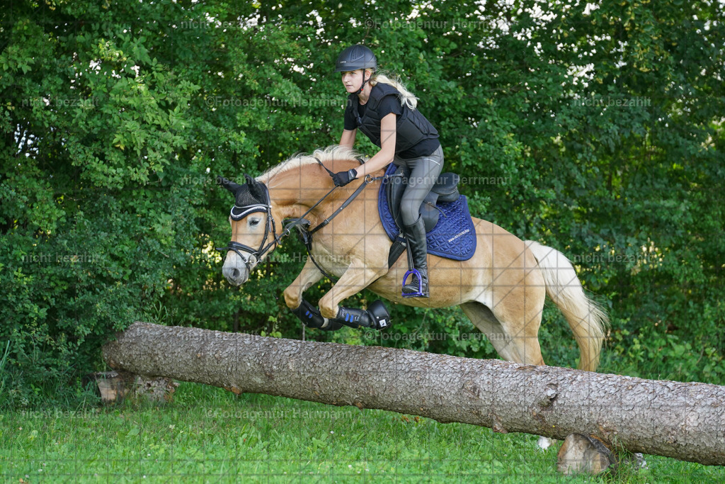 20240622-FAH08099 | Turnierfotografen Bayern, Reitsportbilder aus dem Geländekurs mit Felix Etzel auf dem Gut Waitzacker 2024