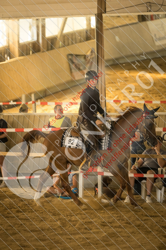 IMG_1667 | Sport-, Event- und Tierfotos in Profiqualität. Einfach auswählen, bestellen und herunterladen. Dein Moment – perfekt festgehalten.