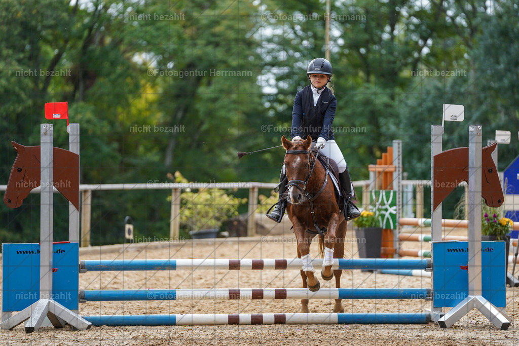 20231008-SN_01146 | Professionelle Turnier- und Reitsportfotografie - mit dem Finger am Auslöser. Pferdebilder aus dem Reitsport von den Turnierfotografen  Bayern , Pferdefotograf Bayern, Pferdeshooting Turnierbilder, Hochzeitsfotograf, Eventfotograf, Hochzeitsbilder