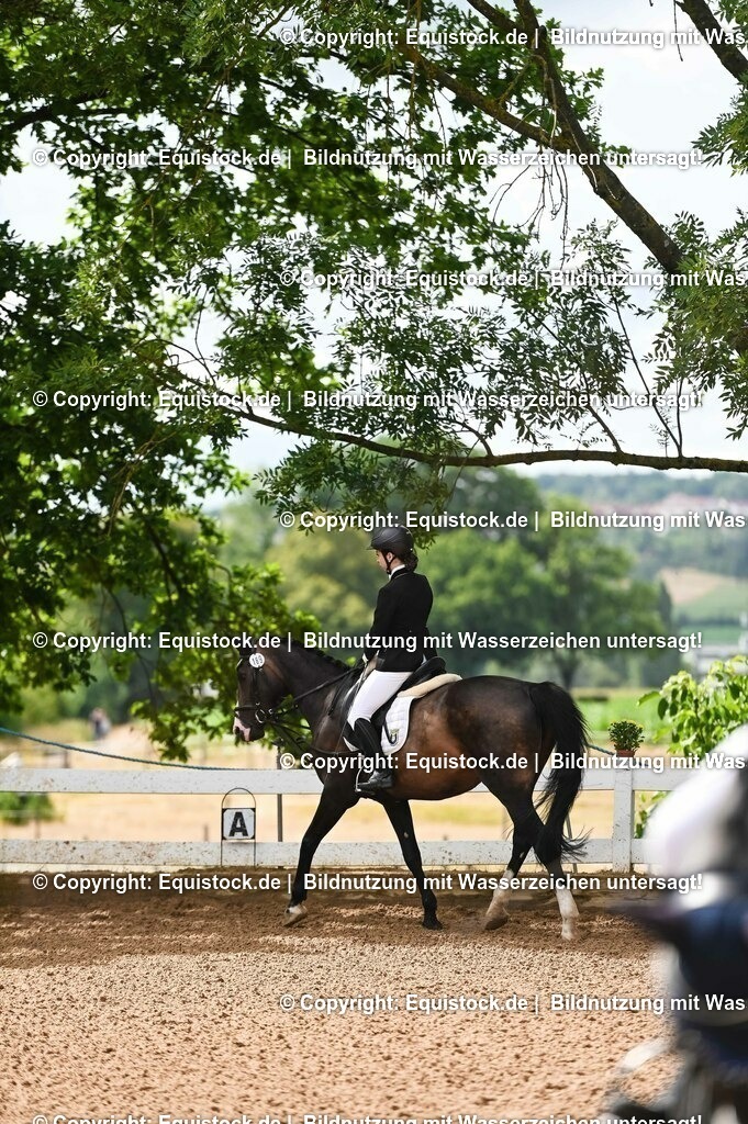 20230716_10-1_Reiter-WB Schritt - Trab - Galopp_0109 | equistock