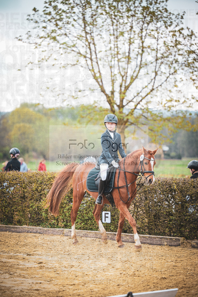 DOS_5421 | Entdecke hochwertige Reitturnierfotos von Foto Oger. Professionell, emotional und authentisch – jetzt Lieblingsmomente im Shop bestellen.Deutschlandweite Turnierfotografie. - Realisiert mit Pictrs.com