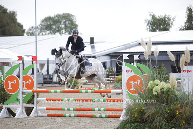 1J2A8532Edouard Hennau_ Maleika I_ Kn700_ Havekost | Foto- und Videografie für alles rund ums Pferd. Hochwertige Bilder und Videos vom Spring- und Dressurreiten, Voltigieren & mehr. Jetzt aktuelle Veranstaltungen und Preise im Shop ansehen. - Realisiert mit Pictrs.com