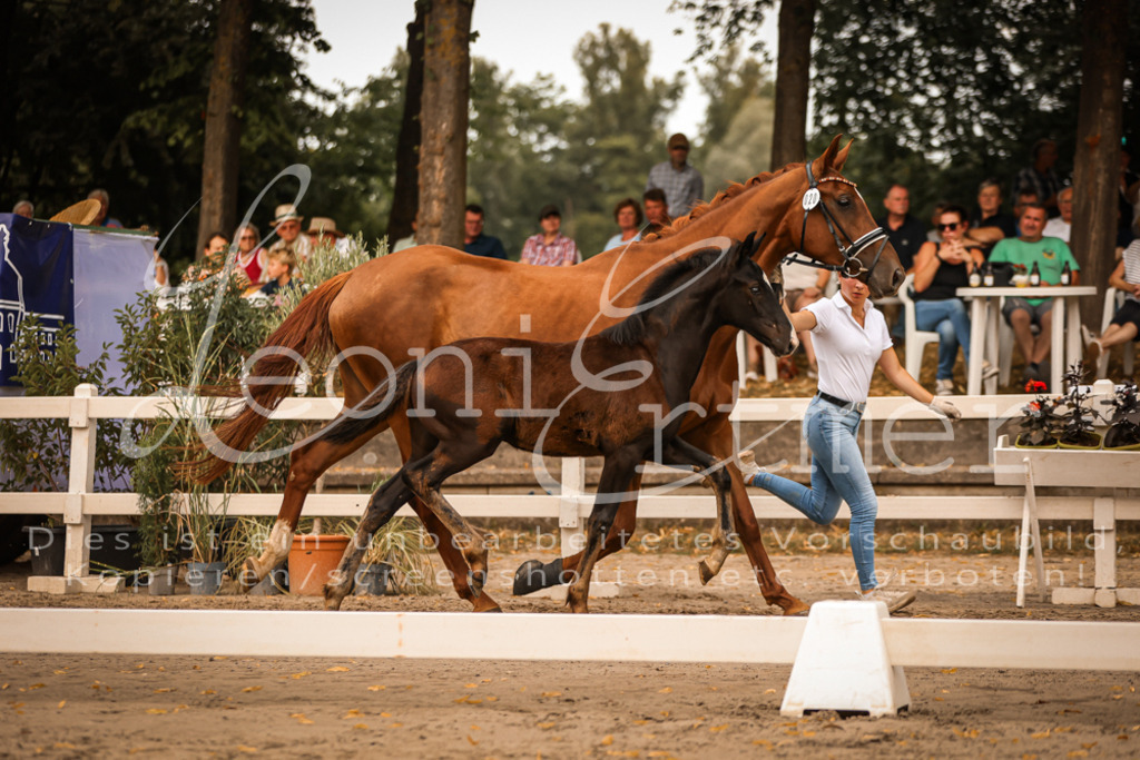 SaPA00281 | Leoni Ertmer Photography - Realisiert mit Pictrs.com