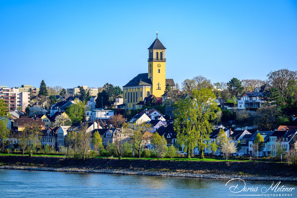 DSC_6913 | Fotografien, Fotos und Bilder aus Mainz, Frankfurt, Wiesbaden und anderen Orten auf der Welt - Fotografiert von Darius Metzner