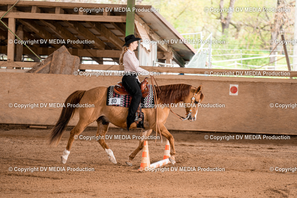 BA300885 | dv-media-shop - Realisiert mit Pictrs.com