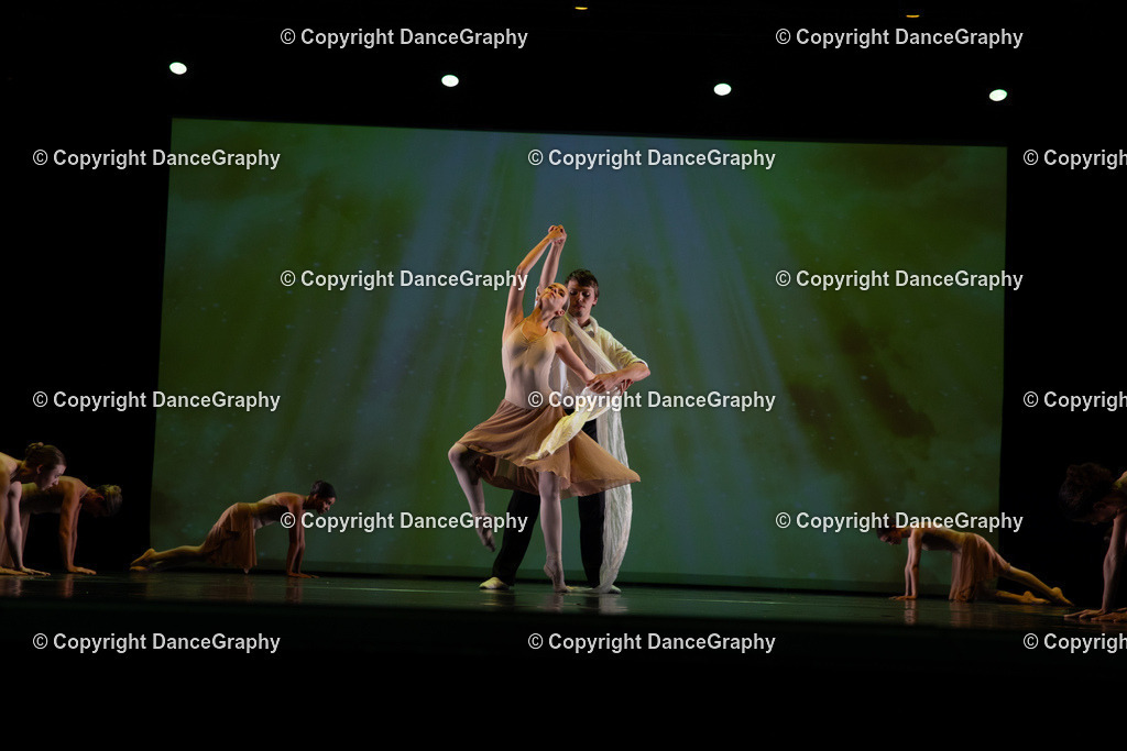 GPHY6290 | DanceGraphy - Realisiert mit Pictrs.com
