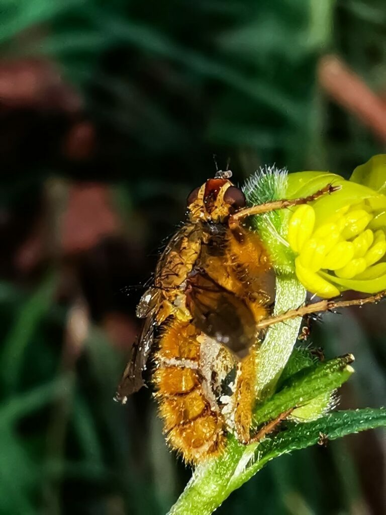 PSX_20221117_231622 | mtkfoto_ - Realisiert mit Pictrs.com