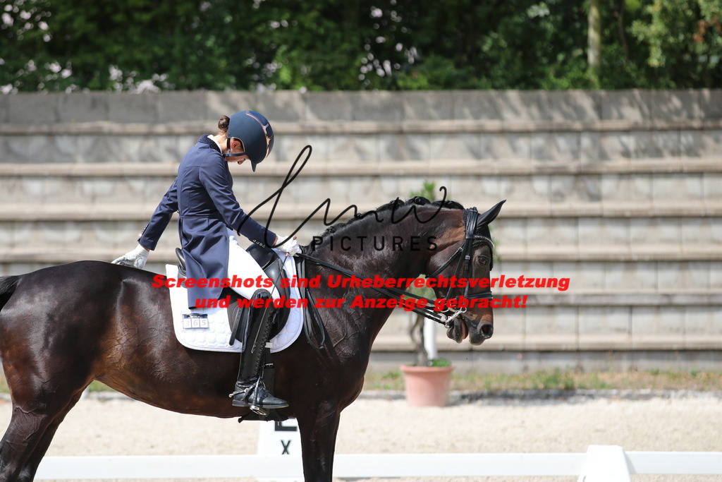 IMG_7205 | lmwpictures - Realisiert mit Pictrs.com