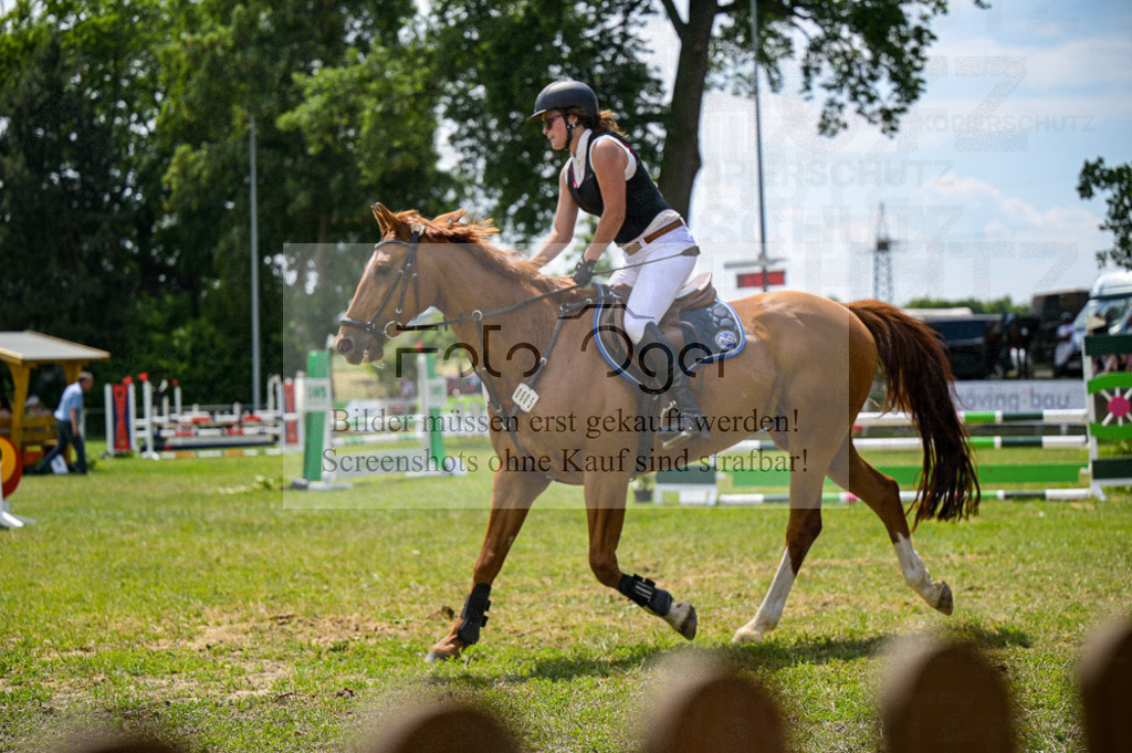 Reitturnier Voxtrup | Entdecke hochwertige Reitturnierfotos von Foto Oger. Professionell, emotional und authentisch – jetzt Lieblingsmomente im Shop bestellen.Deutschlandweite Turnierfotografie. - Realisiert mit Pictrs.com