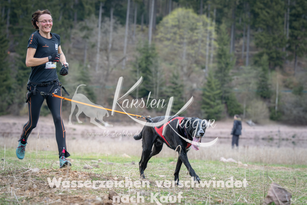 1813_ZZ94505 | kk-dogfotos