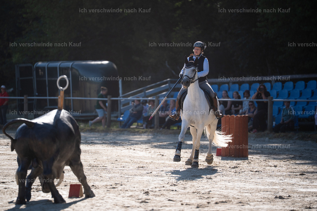 WL_SP_47_Stoibphotography_SO13505 | working equitationturnier fotograf videograf stoibphotography marixx film working equitation deutschland reitsport turnierfotografie eventfotografie equestrian events