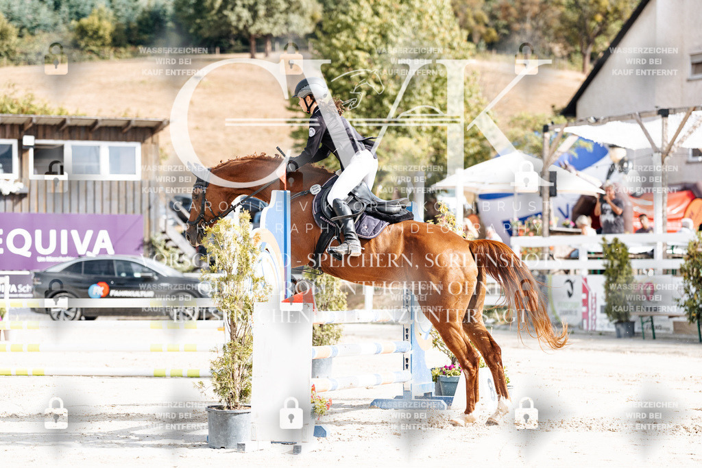CK909028 | Turnierfotografie Pferdefotografie Trier Rheinland-Pfalz Pferdesport Reitsport Tierfotografie Sportfotografie Pferdevideo Pferdevideografie Equestrianvideography equestrianphotography  - Realisiert mit Pictrs.com