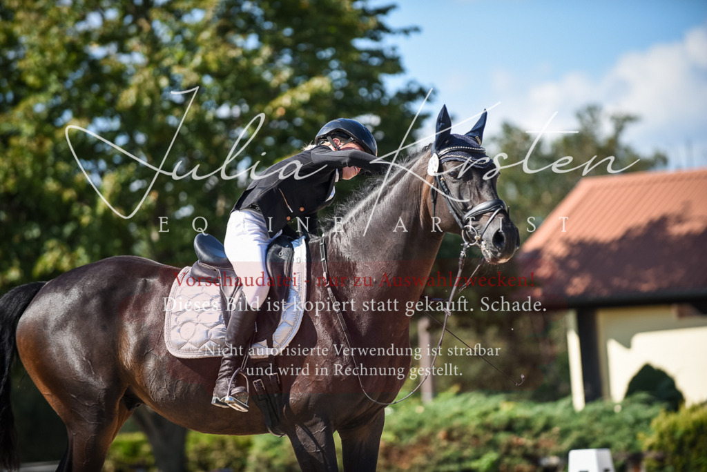 DSC_9574 | Pferde- und Turnierfotografie in Westsachsen. Pferdeportraits, Auftragszeichnungen und intuitive Kunst.